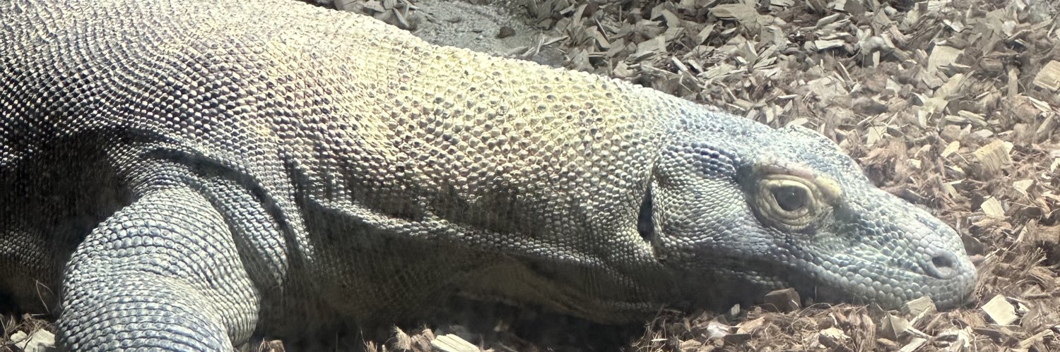 きぬしょう banner