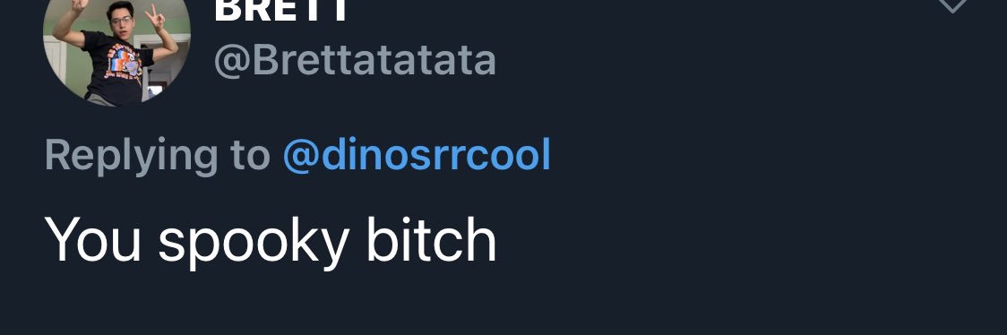 dinosrrcool's profile banner image