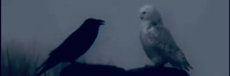 Avdos4's profile banner image