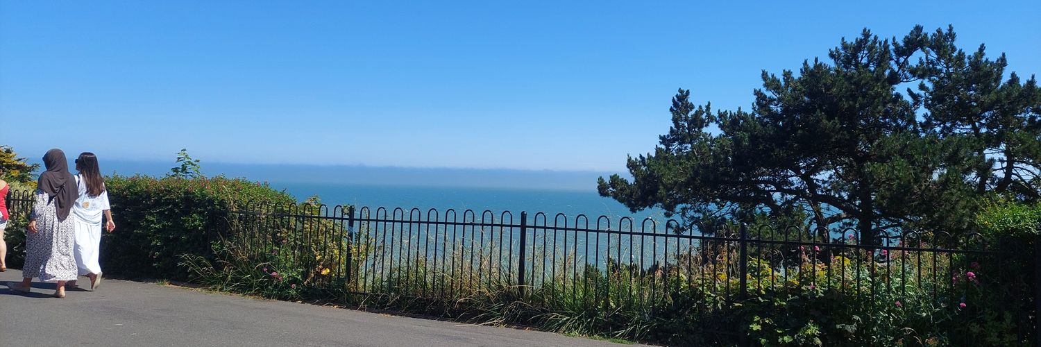 Trillian on the Kent 🇬🇧 Side #StarmerOut banner