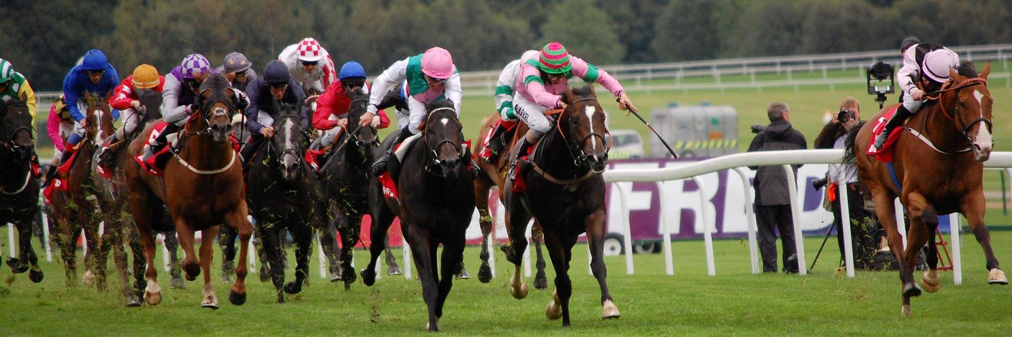 David Simcock Racing banner