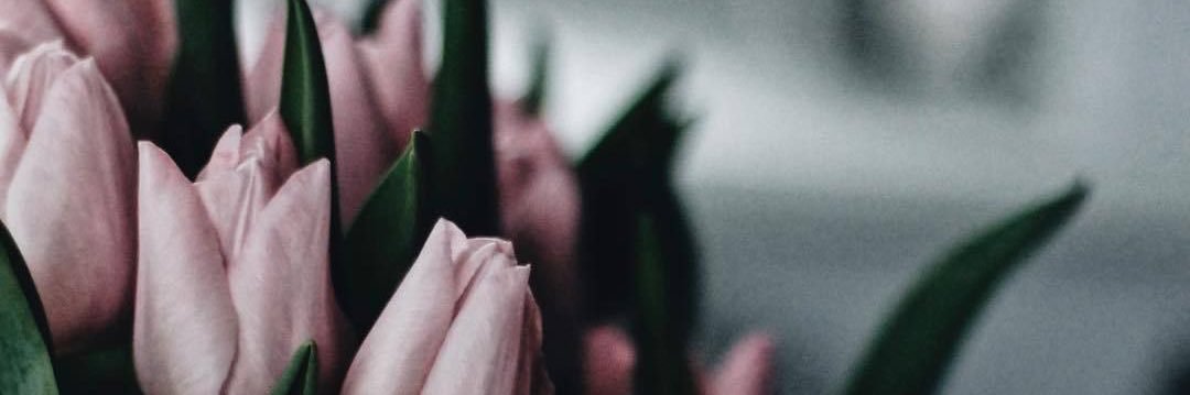 q_mema_'s profile banner image