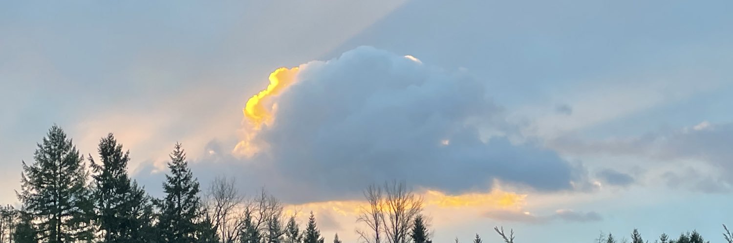 Americas finest banner