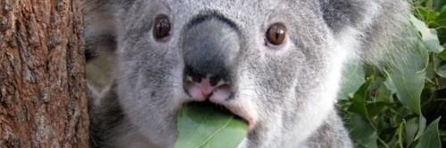 Luckas44744's profile banner image