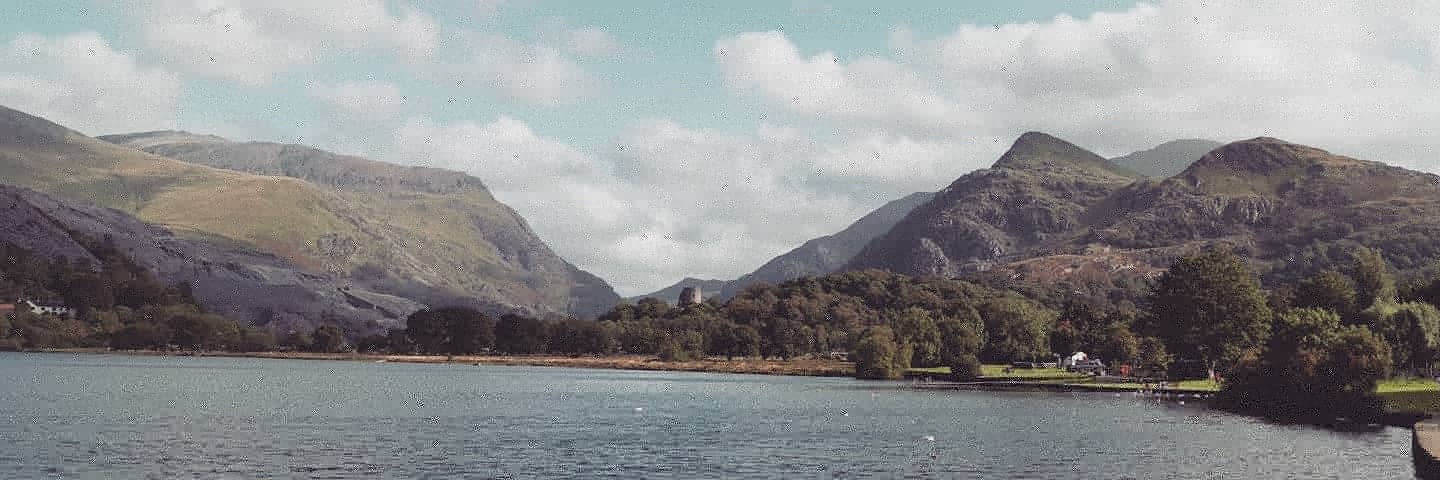 Pheeb🐙☕️ banner