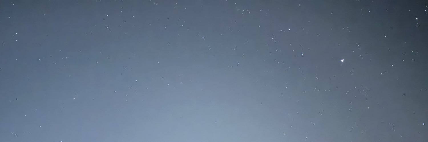 Ross Macdonald banner