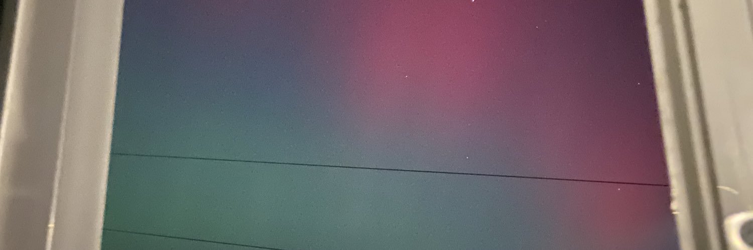 daniellepedler's profile banner image