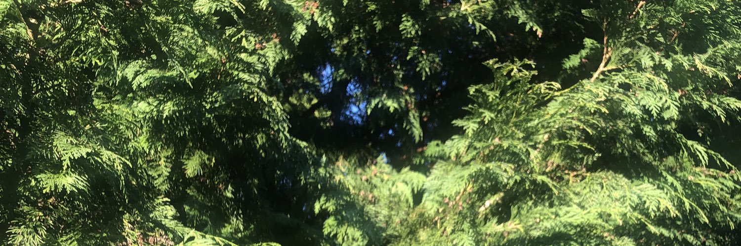 clo_udkicker's profile banner image