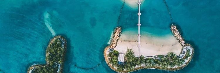 TOBIOUS🇸🇬 banner