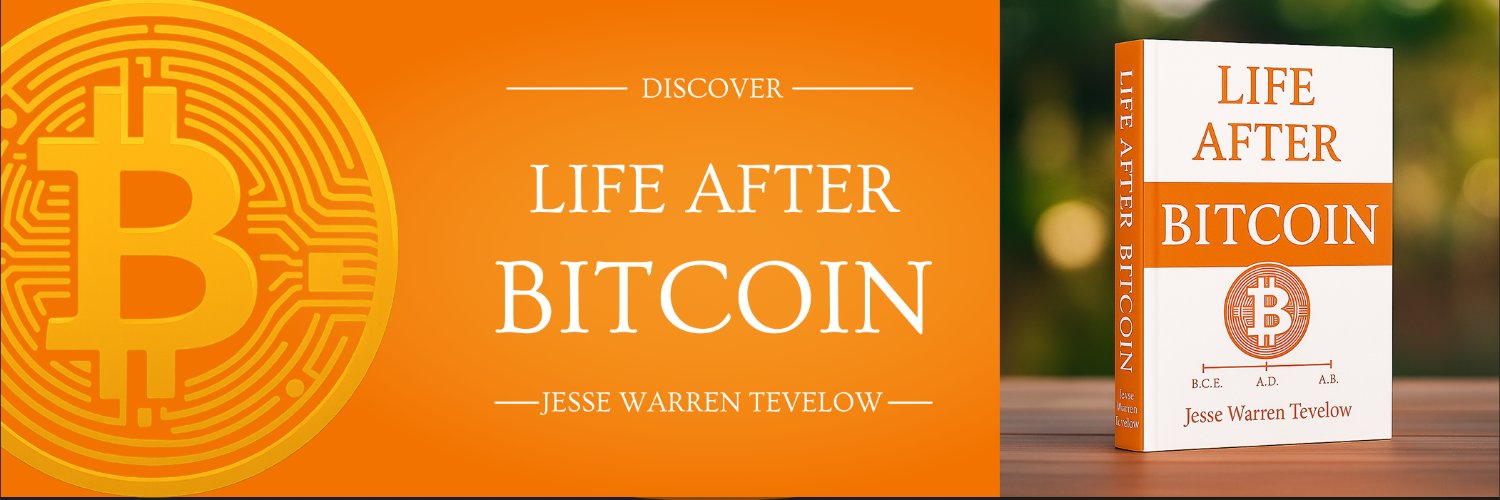 Life After Bitcoin book banner