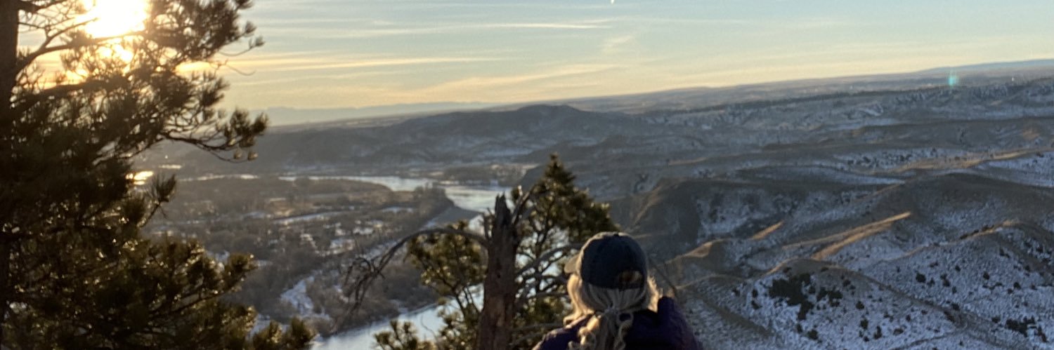 ashly lamosek banner