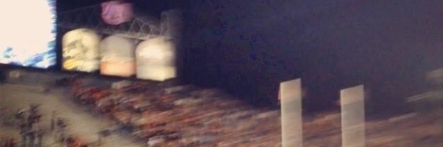 halliefelds's profile banner image