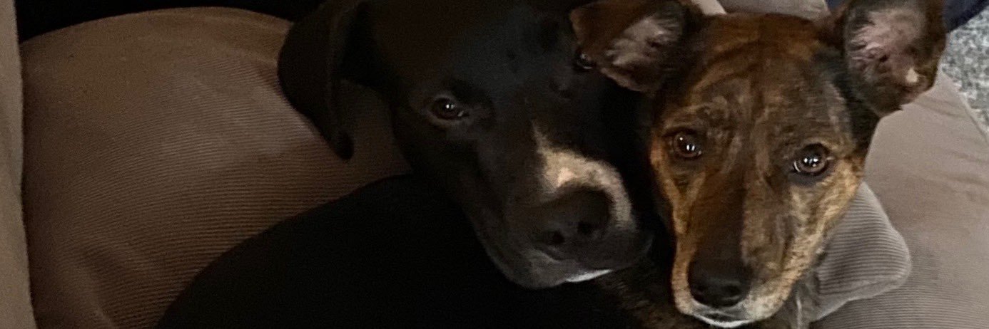 seguimos igual banner
