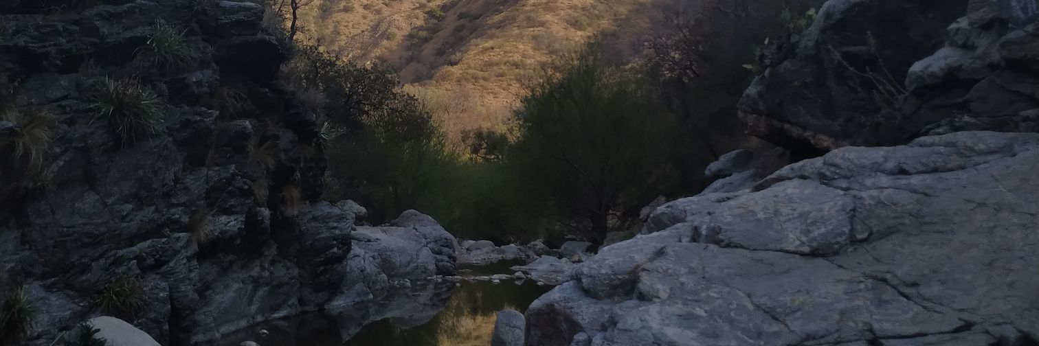 leanfusche's profile banner image