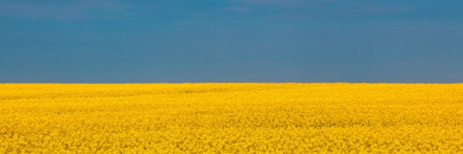 Trauma Anaesthesia Group / TAG banner