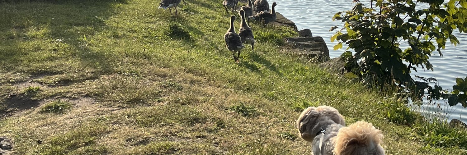 Jonathan Griffiths banner