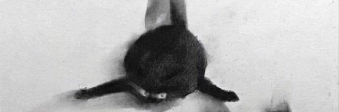 Vinícius Porto  banner