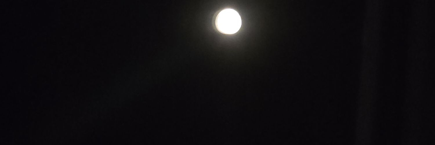 someBbno banner