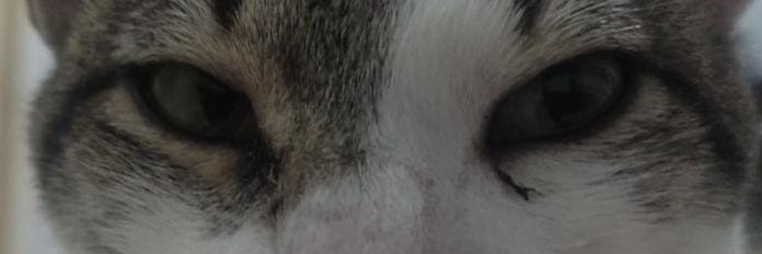 Bluetr4p's profile banner image