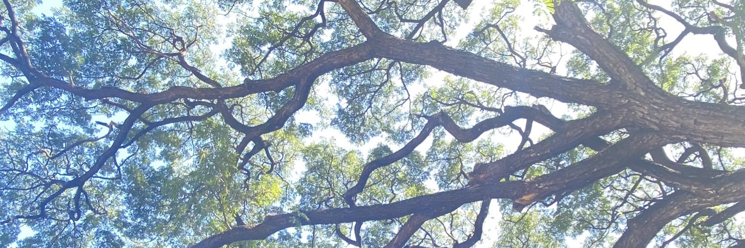 Cogito Ergo Sum ♡ banner