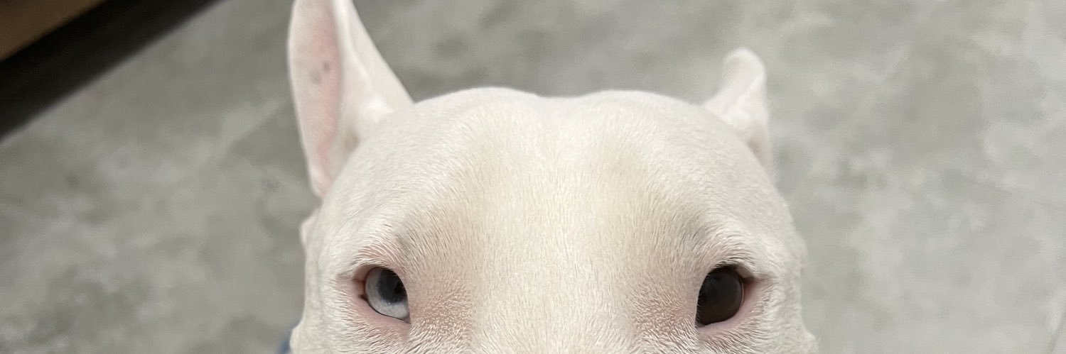vsqzsammy's profile banner image