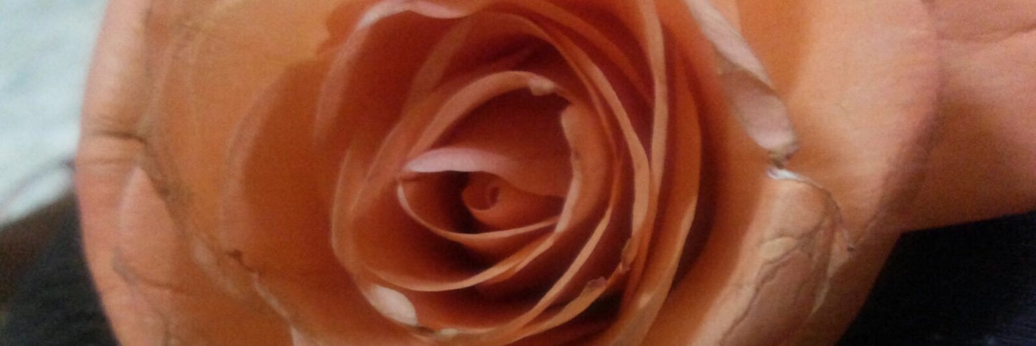 R4lyt's profile banner image