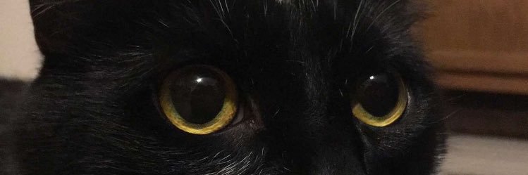 drew222333's profile banner image