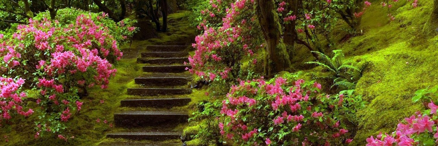 Divo-dacha.ru (@divodacha) | Twitter