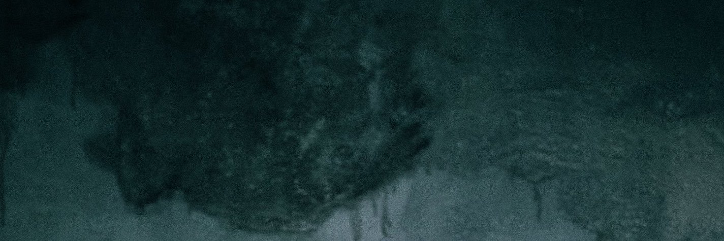 giosanaienka's profile banner image