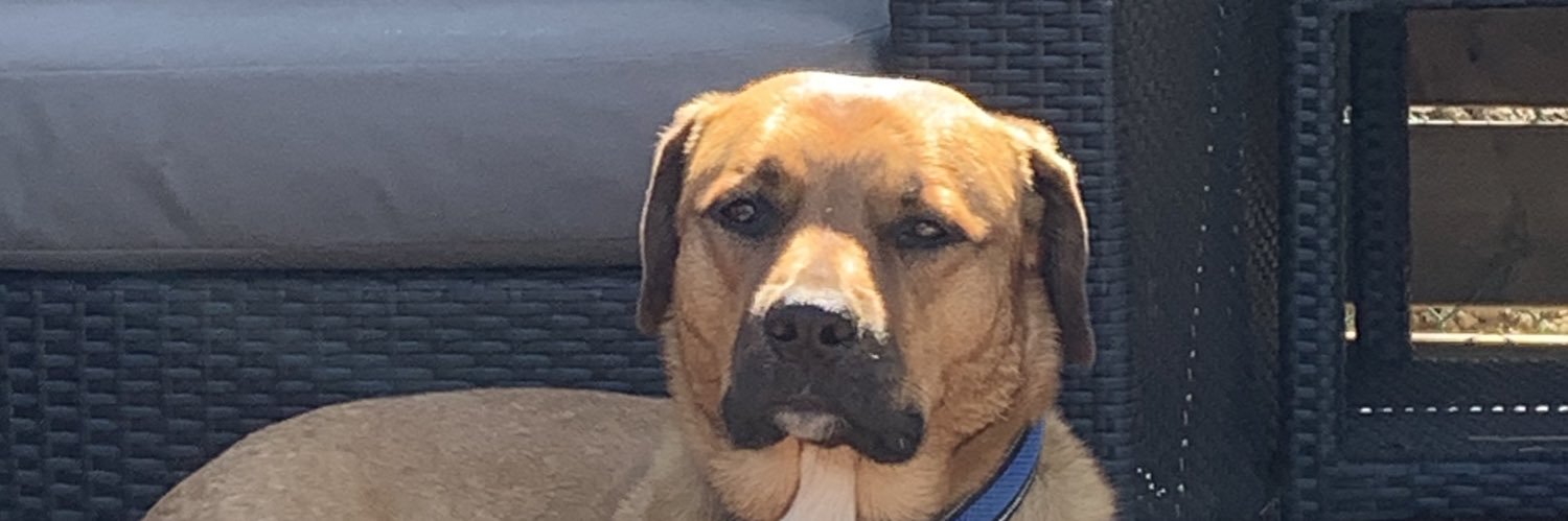 mangolassi18's profile banner image