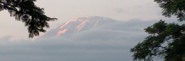 Jrvissoci Profile Banner