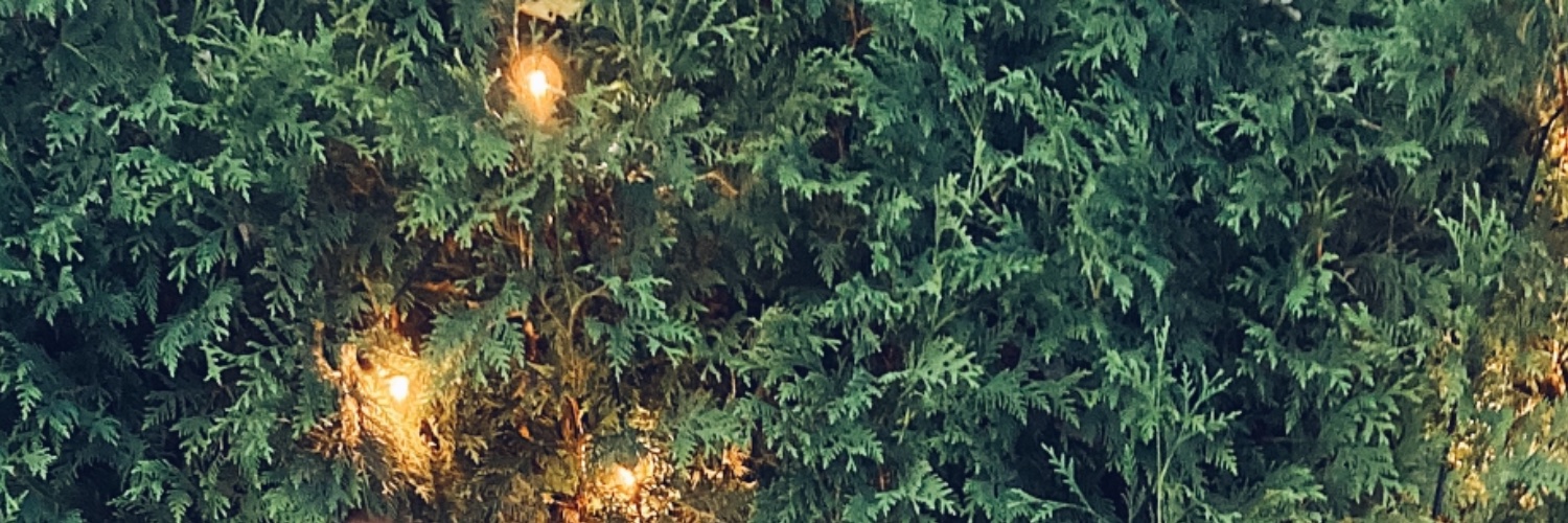 AubriSelness's profile banner image