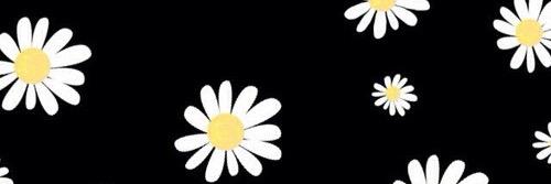 JustSayNao's profile banner image
