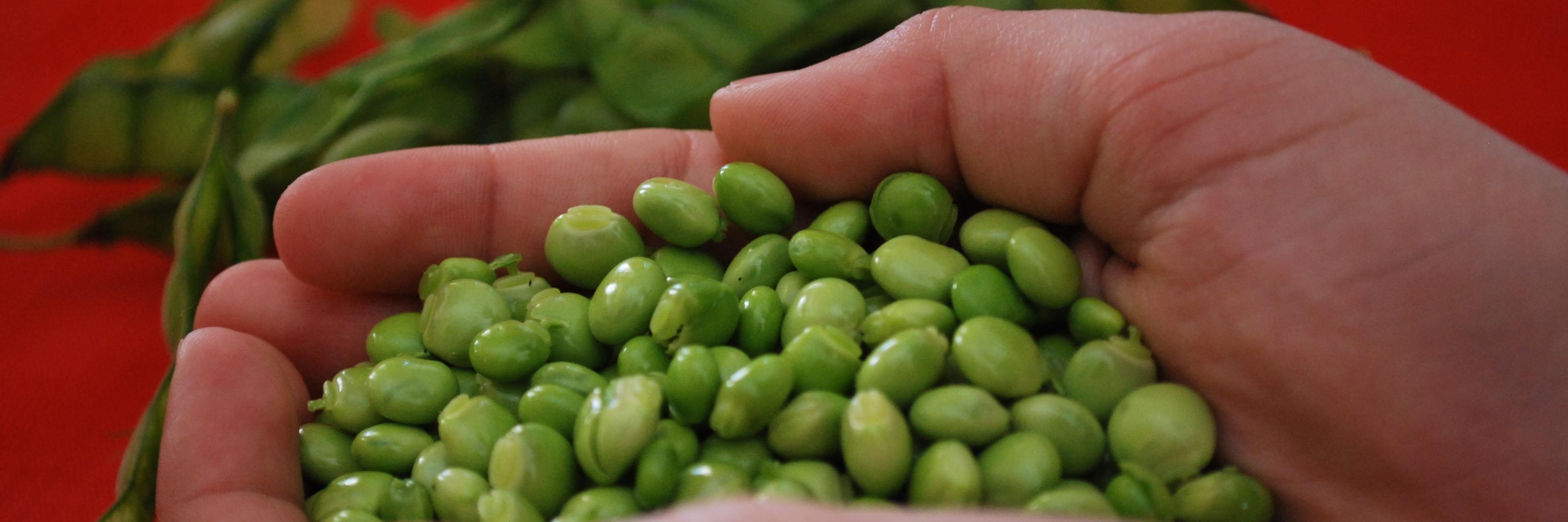 RecetasPR's profile banner image