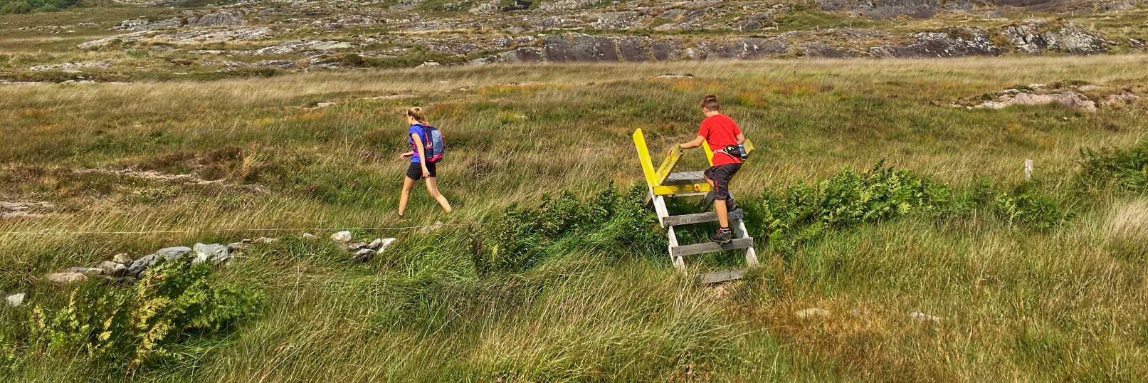 Wild Atlantic Family banner