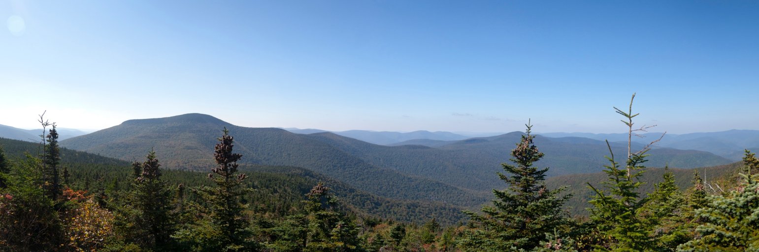 Timothy Scaffidi banner