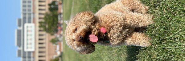 yoslmsd Profile Banner