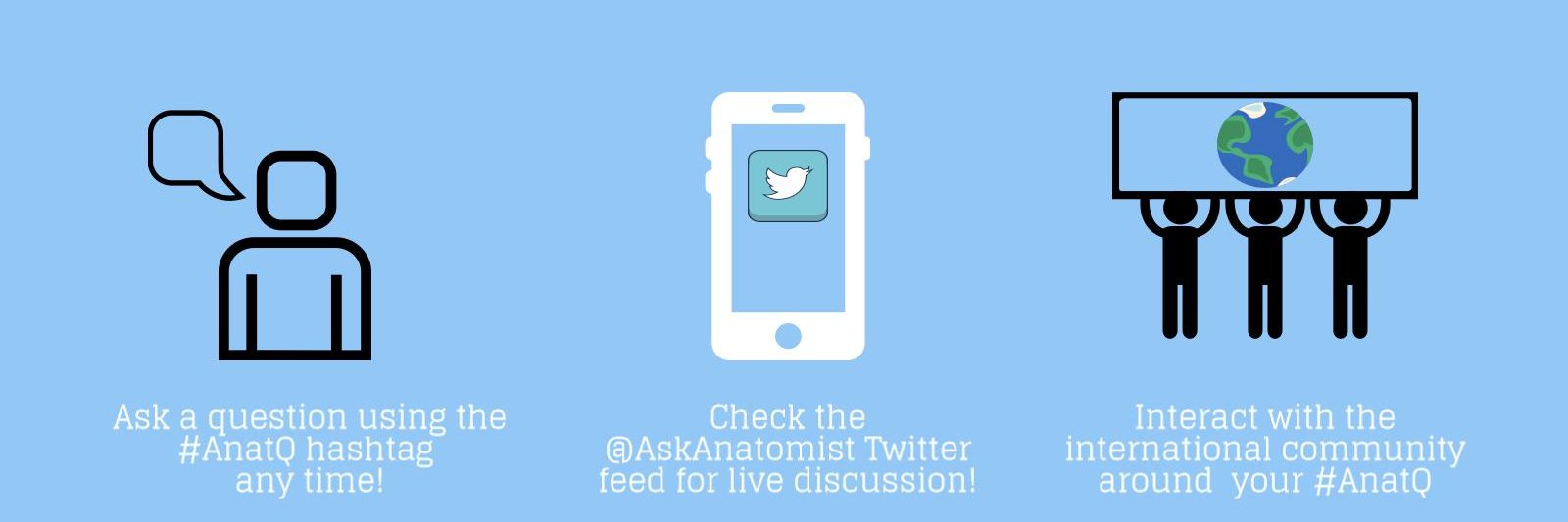AskAnatomist banner