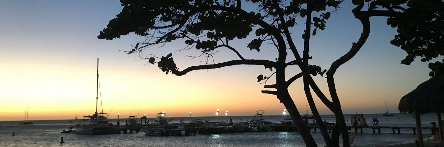 randerson2_'s profile banner image