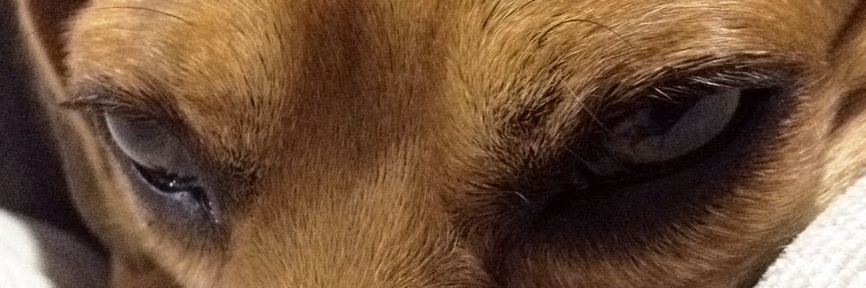 Camila 🤪 banner