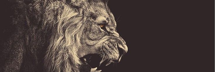 miltonEC_'s profile banner image