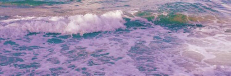 Serena⋆˚ ༘ * banner