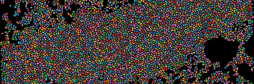 Matthew P. Cheng banner