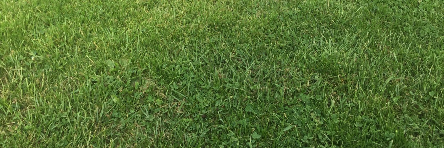 reneerox22's profile banner image