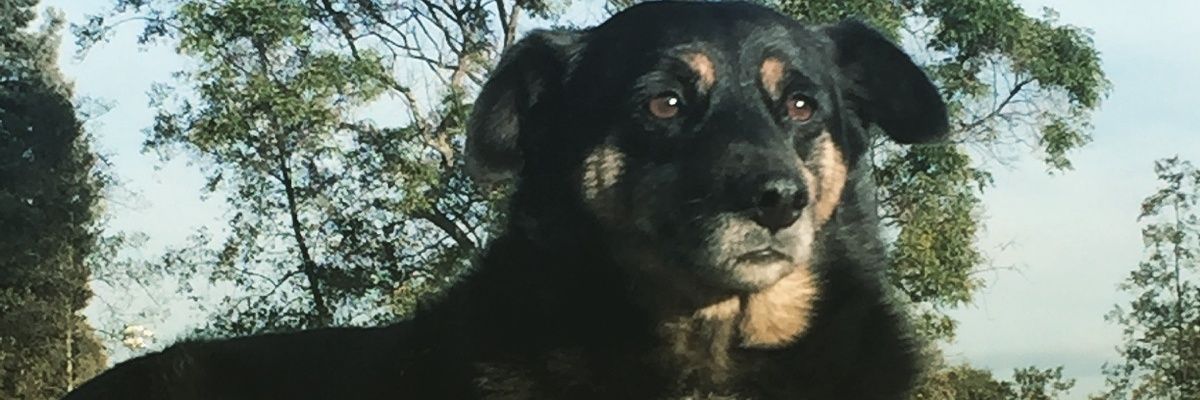 rals112's profile banner image