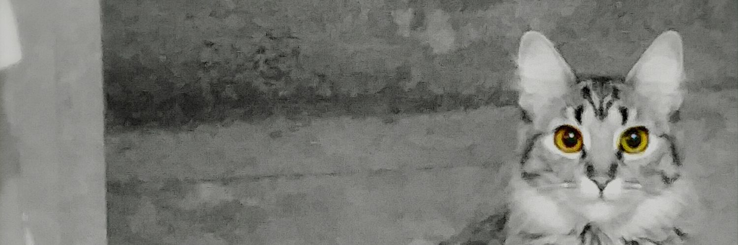 oscaridio's profile banner image