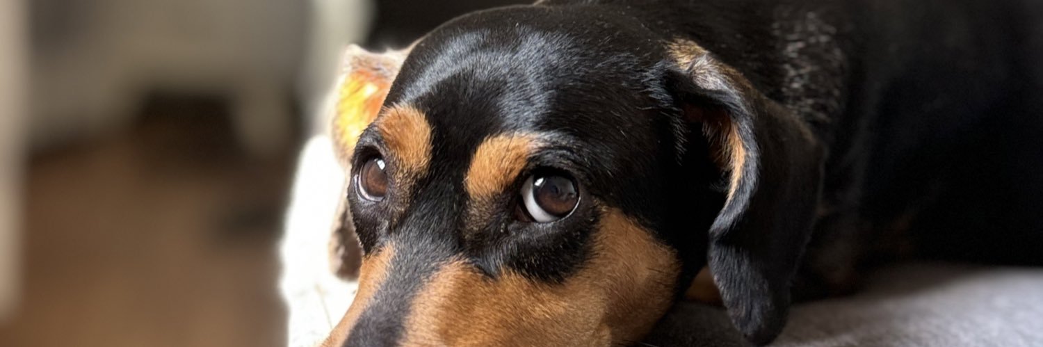 Fexoto's profile banner image