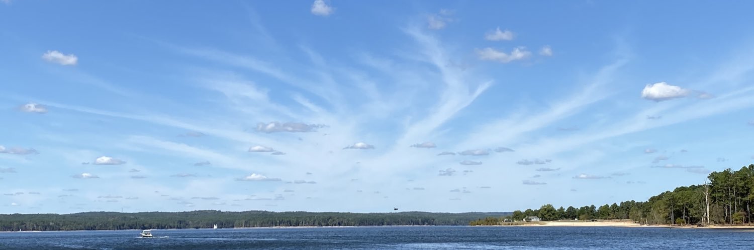 junobrooks's profile banner image