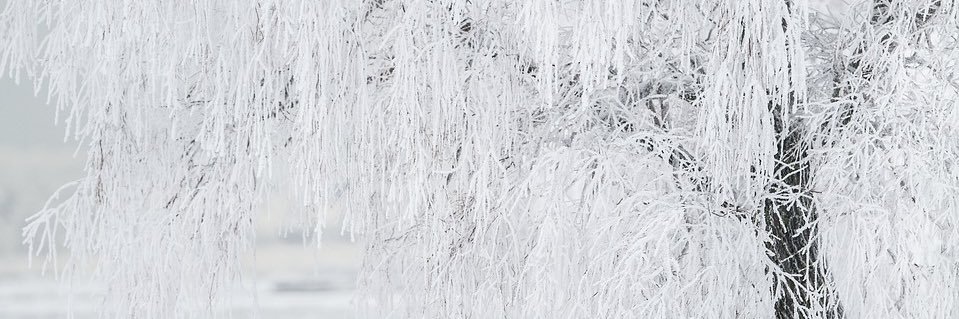 ☥ banner