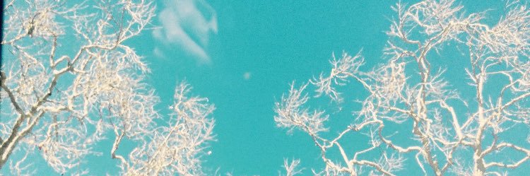 MaggieDay55's profile banner image